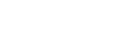 Dassault Systemes Logo White